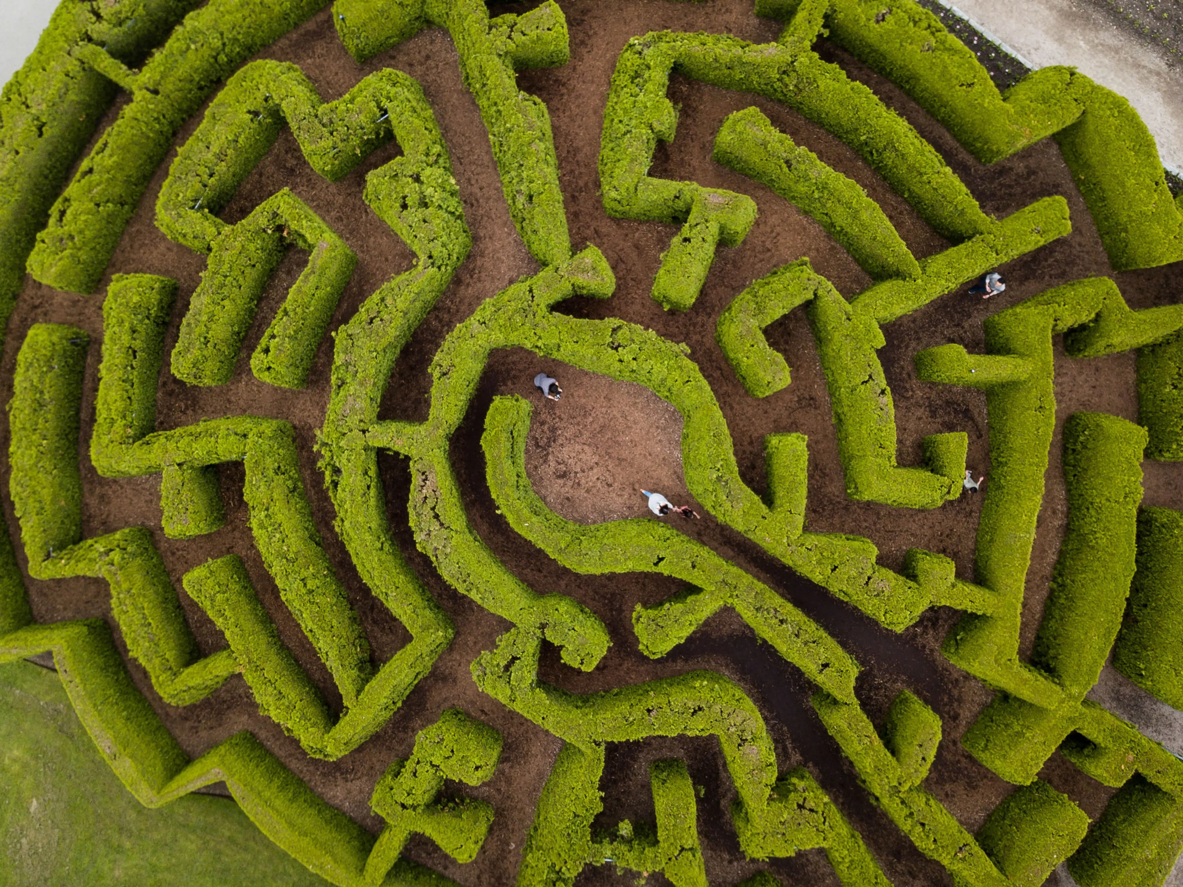 VanDusen Botanical Garden Hedge Maze