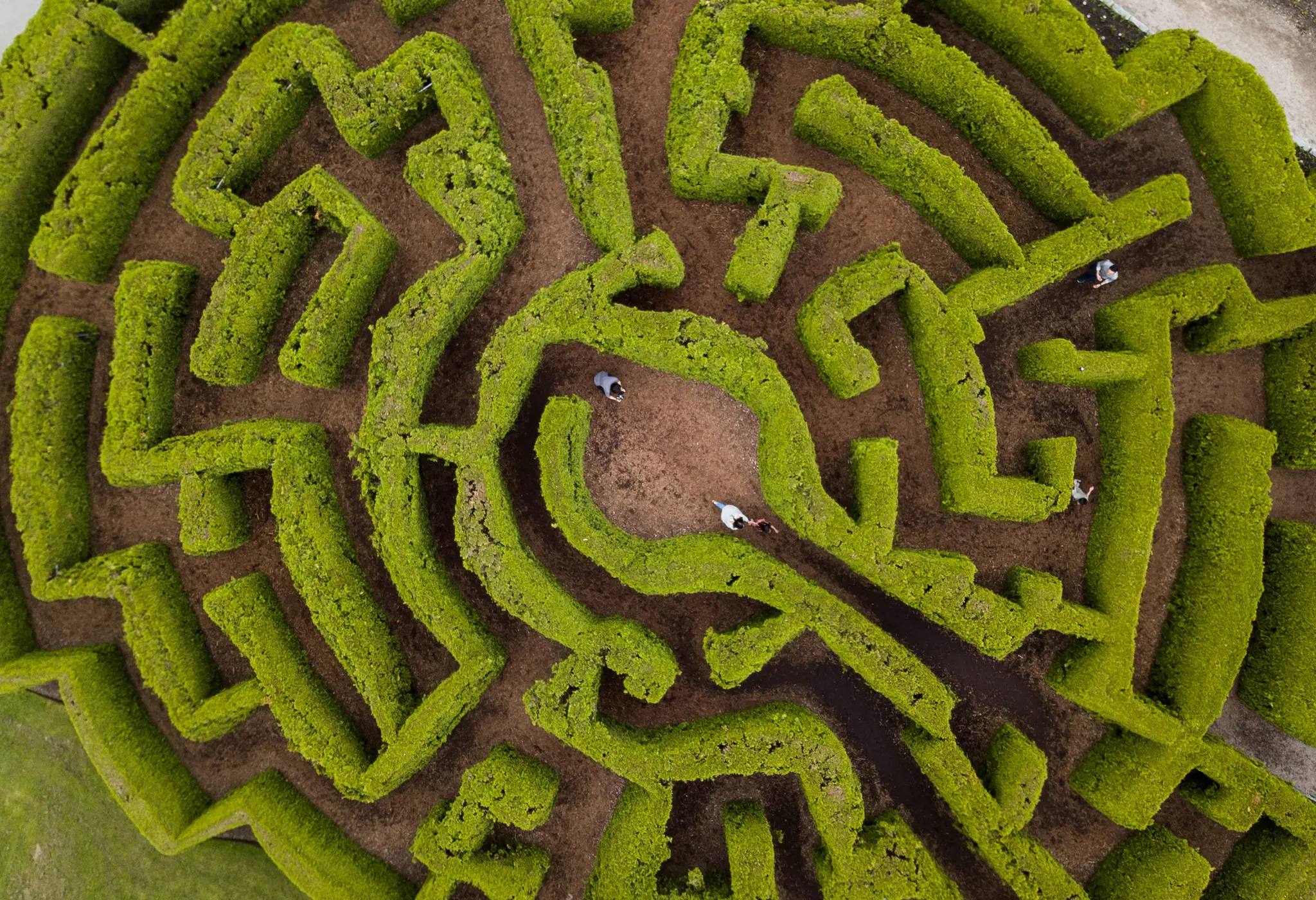 VanDusen Botanical Garden Hedge Maze