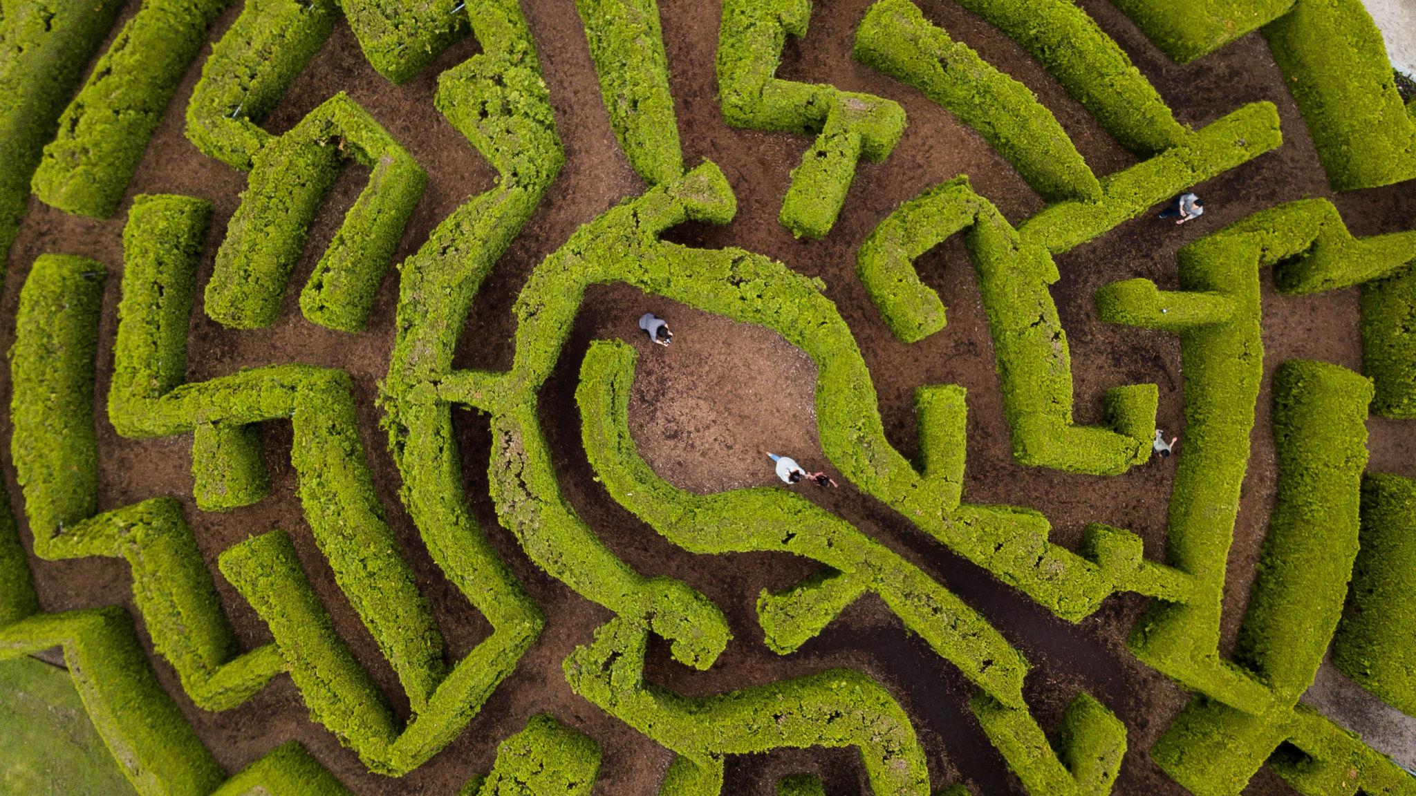 VanDusen Botanical Garden Hedge Maze