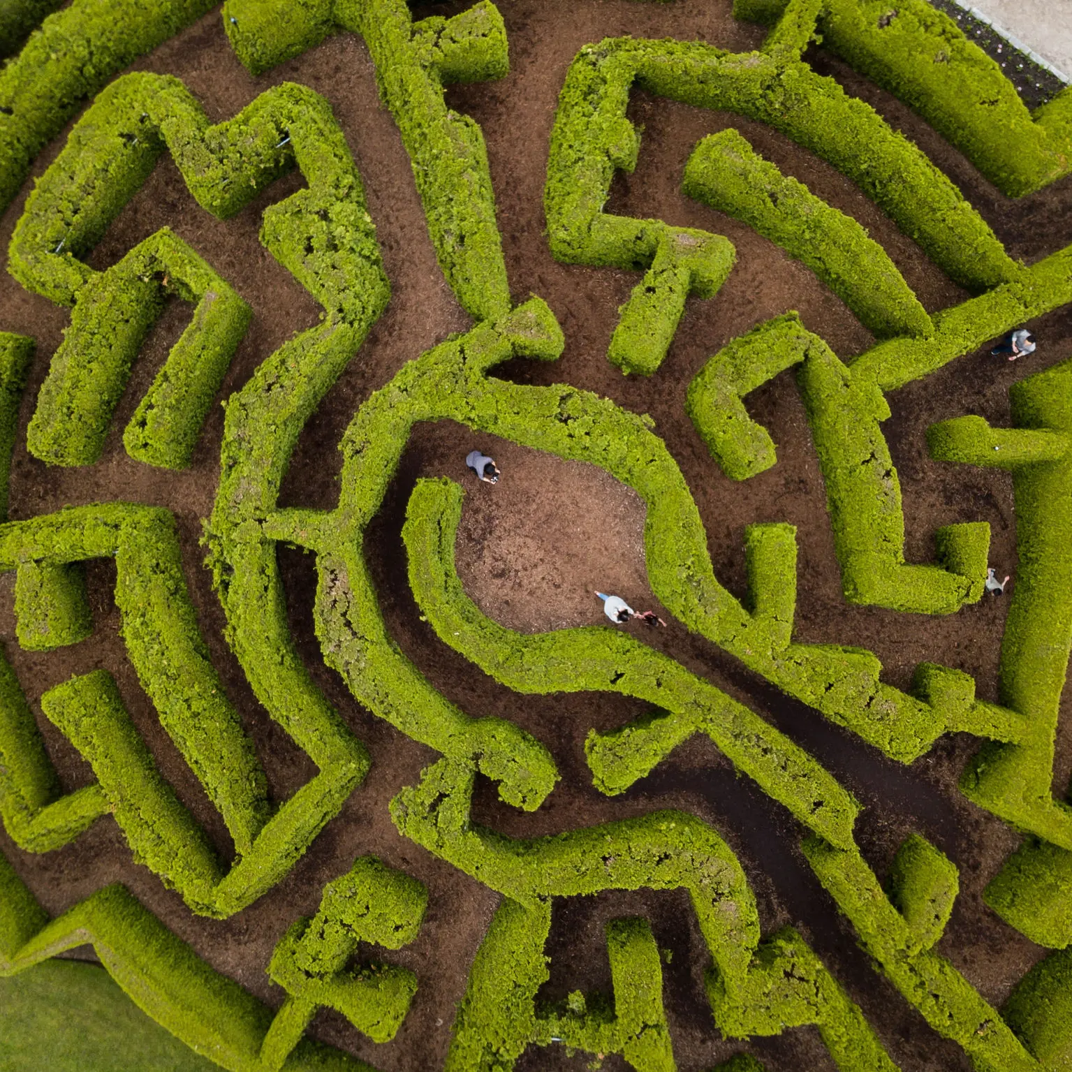 VanDusen Botanical Garden Hedge Maze