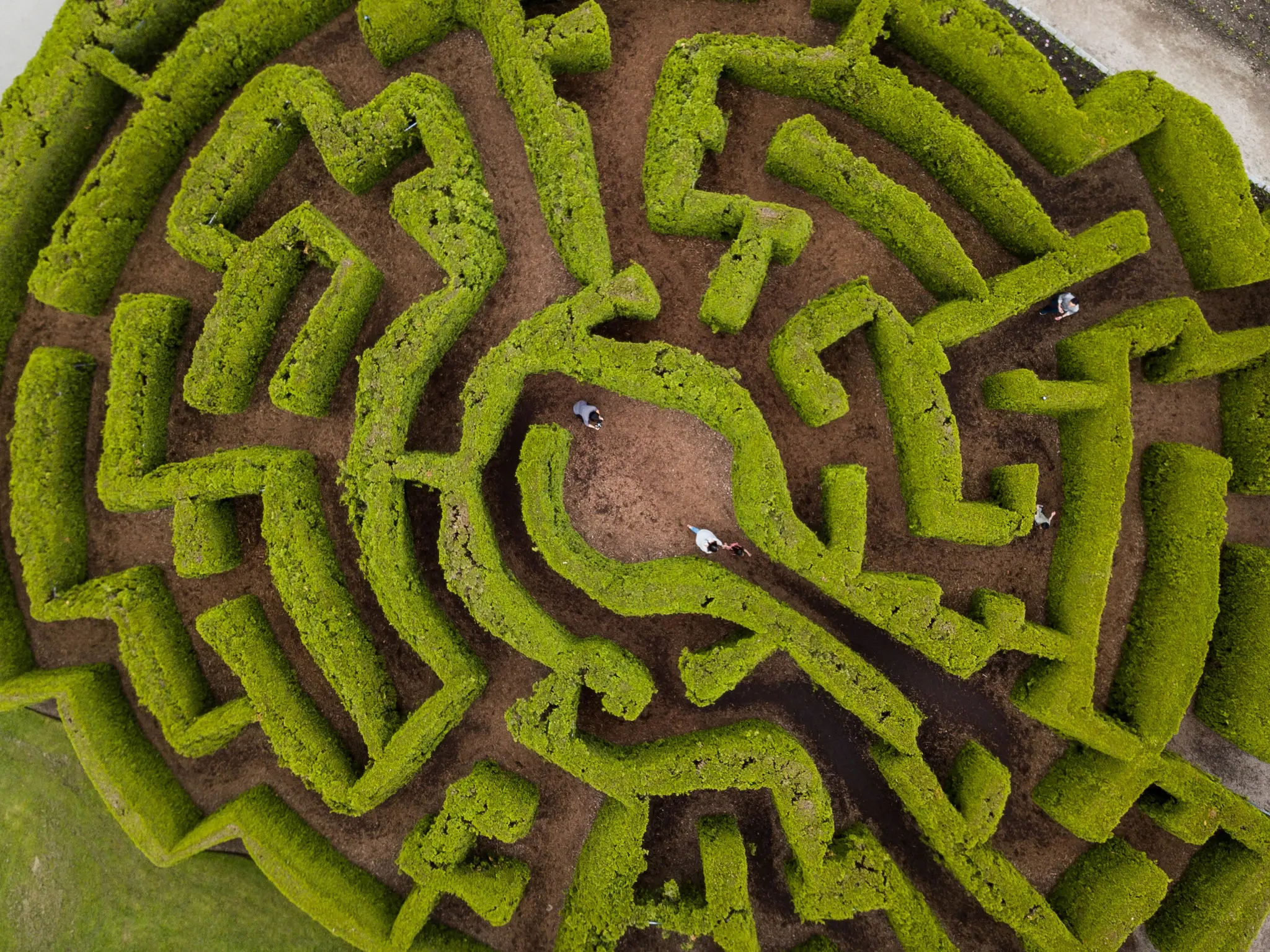 Family exploring the hege maze at Van Dusen Botanical Garden in Vancouver