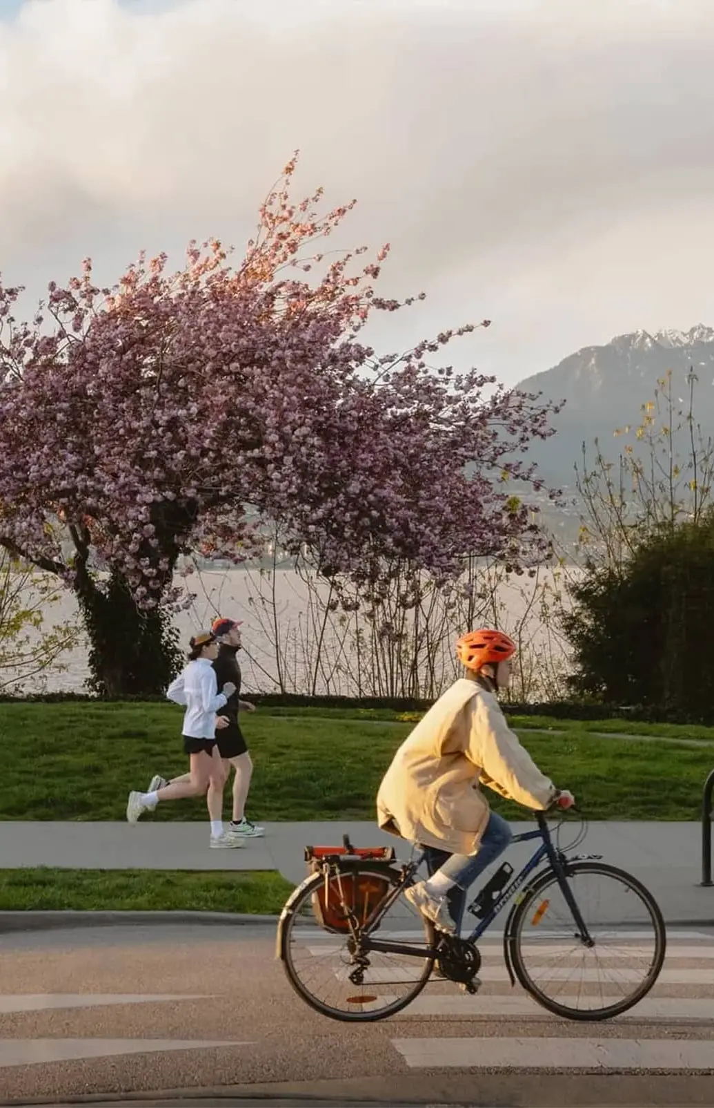 Person wearing an orange helmet riding a bicycle on a path with two people jogging near a blooming pink tree and mountains in the background.