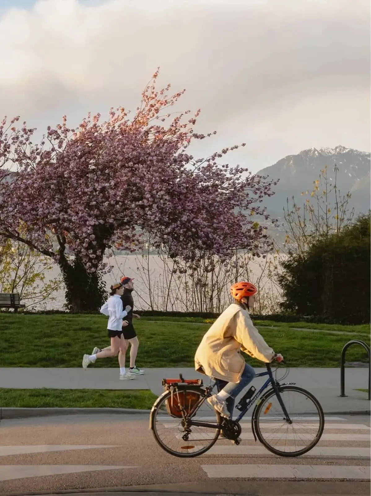 Person wearing an orange helmet riding a bicycle on a path with two people jogging near a blooming pink tree and mountains in the background.