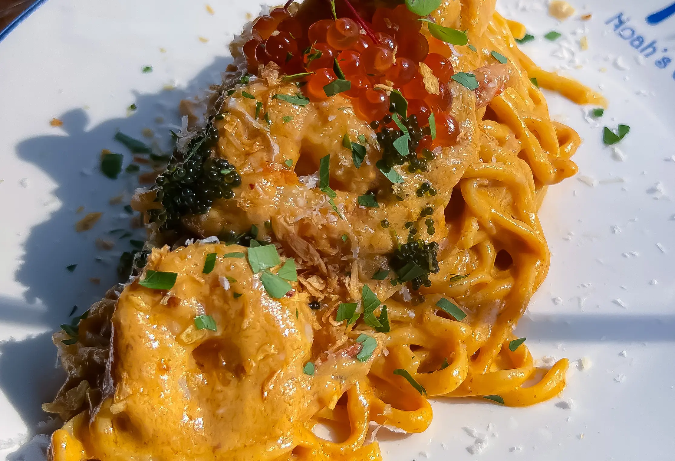 AB44069A-C6EE-4265-8F75-08DB901504E3_FB7485AF-D413-40EB-B936FB2080FB297A_0959b9a5-be5c-4150-88b0ae4471be3c0d