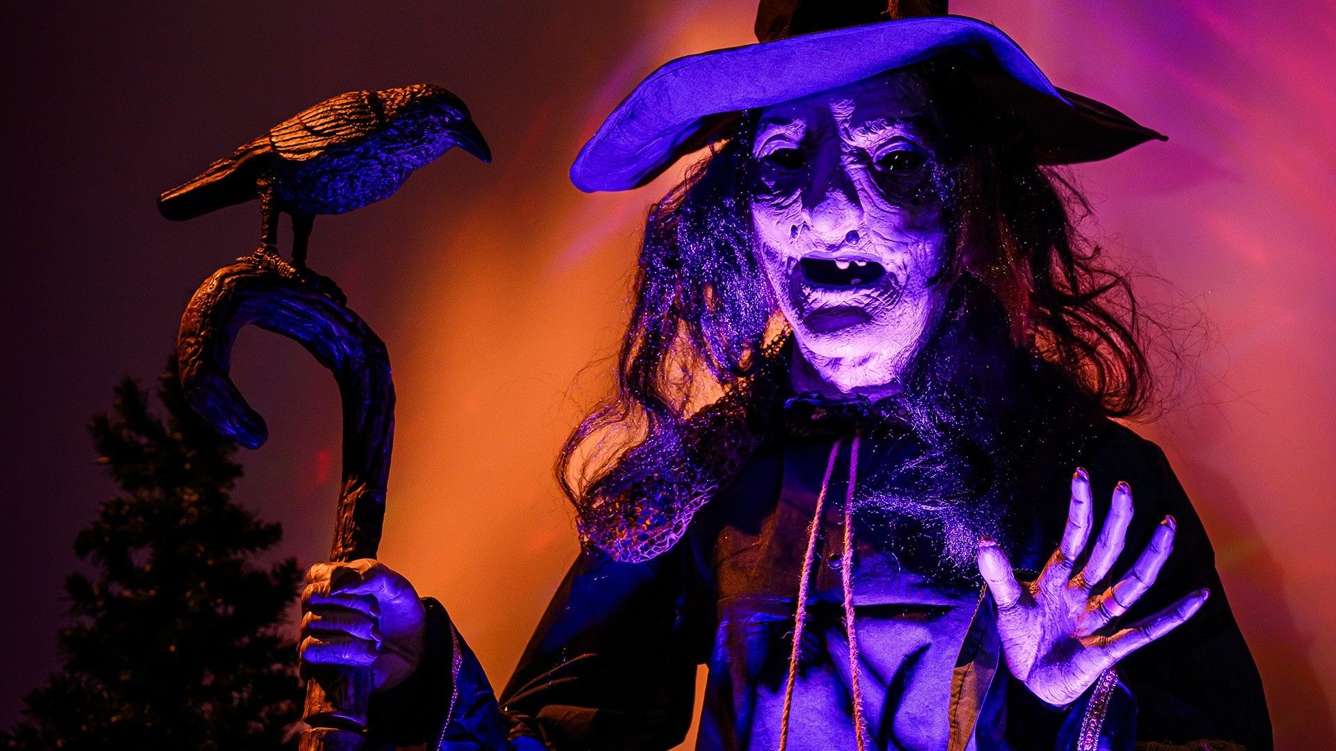 A witch figure with a crooked hat, holding a staff with a crow on top, illuminated by purple and orange light.
