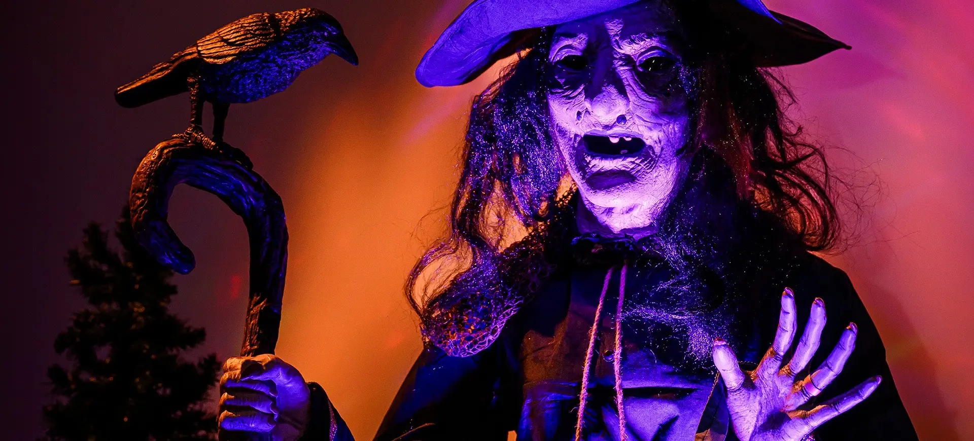 A witch figure with a crooked hat, holding a staff with a crow on top, illuminated by purple and orange light.