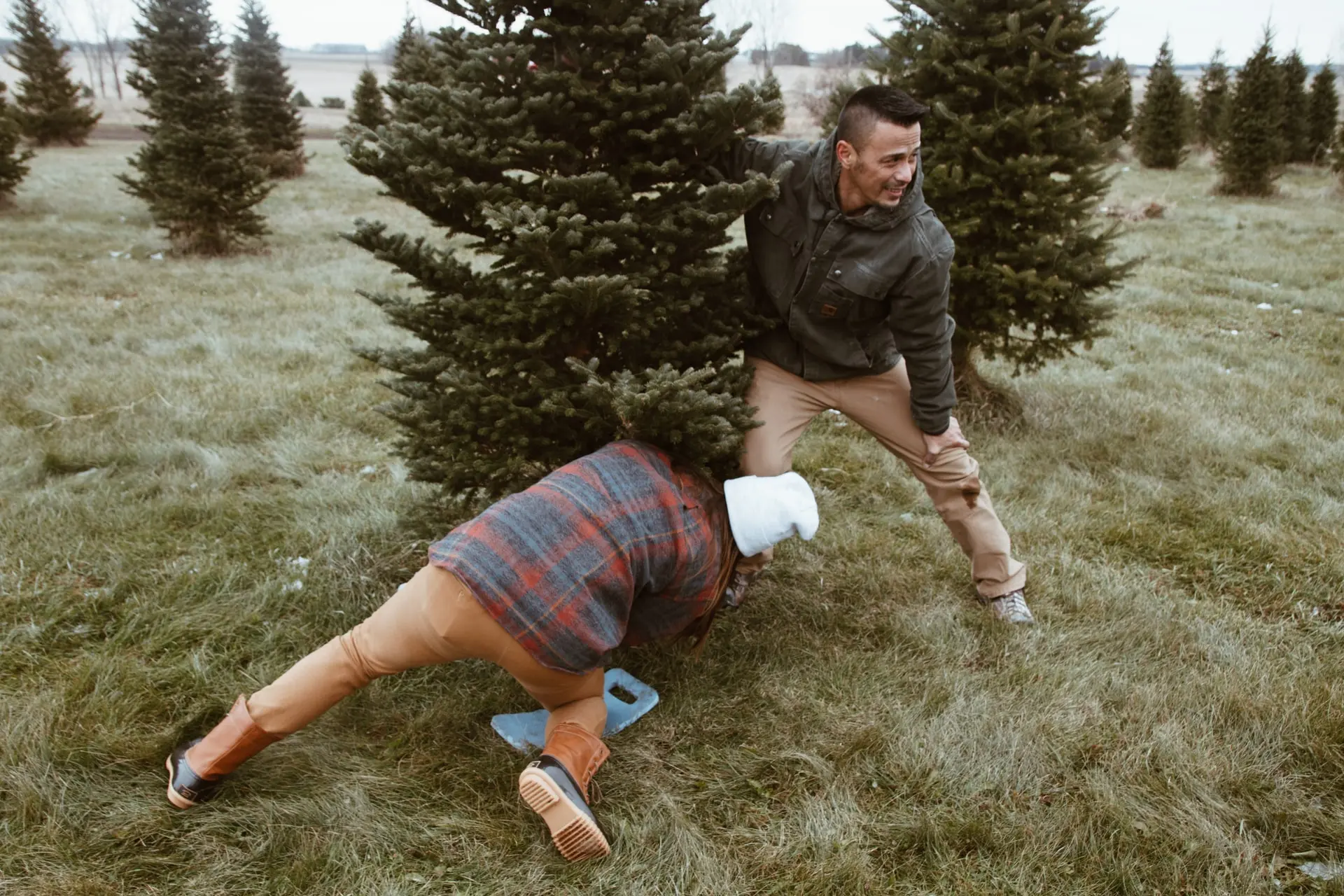 Two men cutting down a Christmas tre