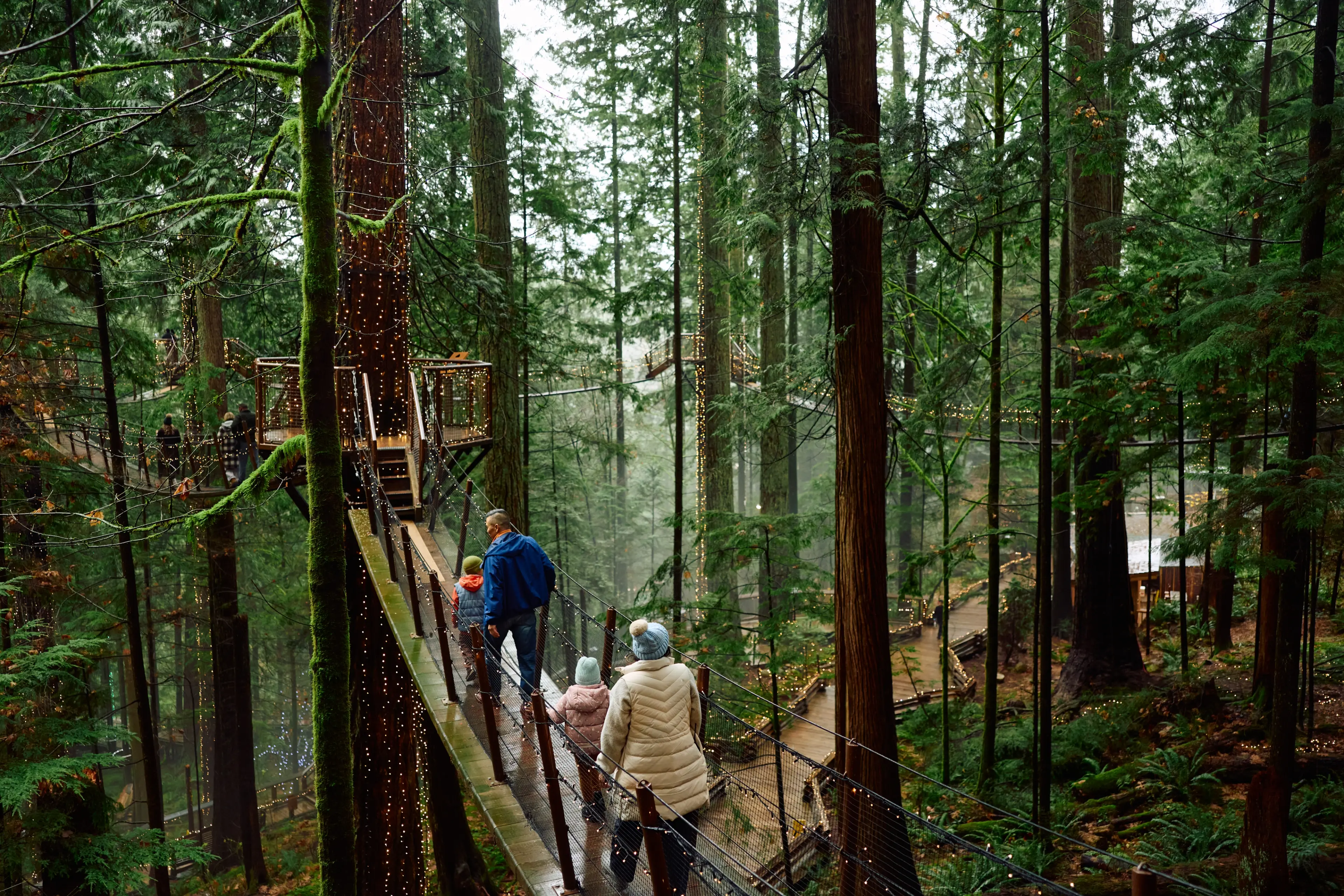 A family walking the Treetops Adventure at Capilano Suspension Bridge Park in North Vancouver.