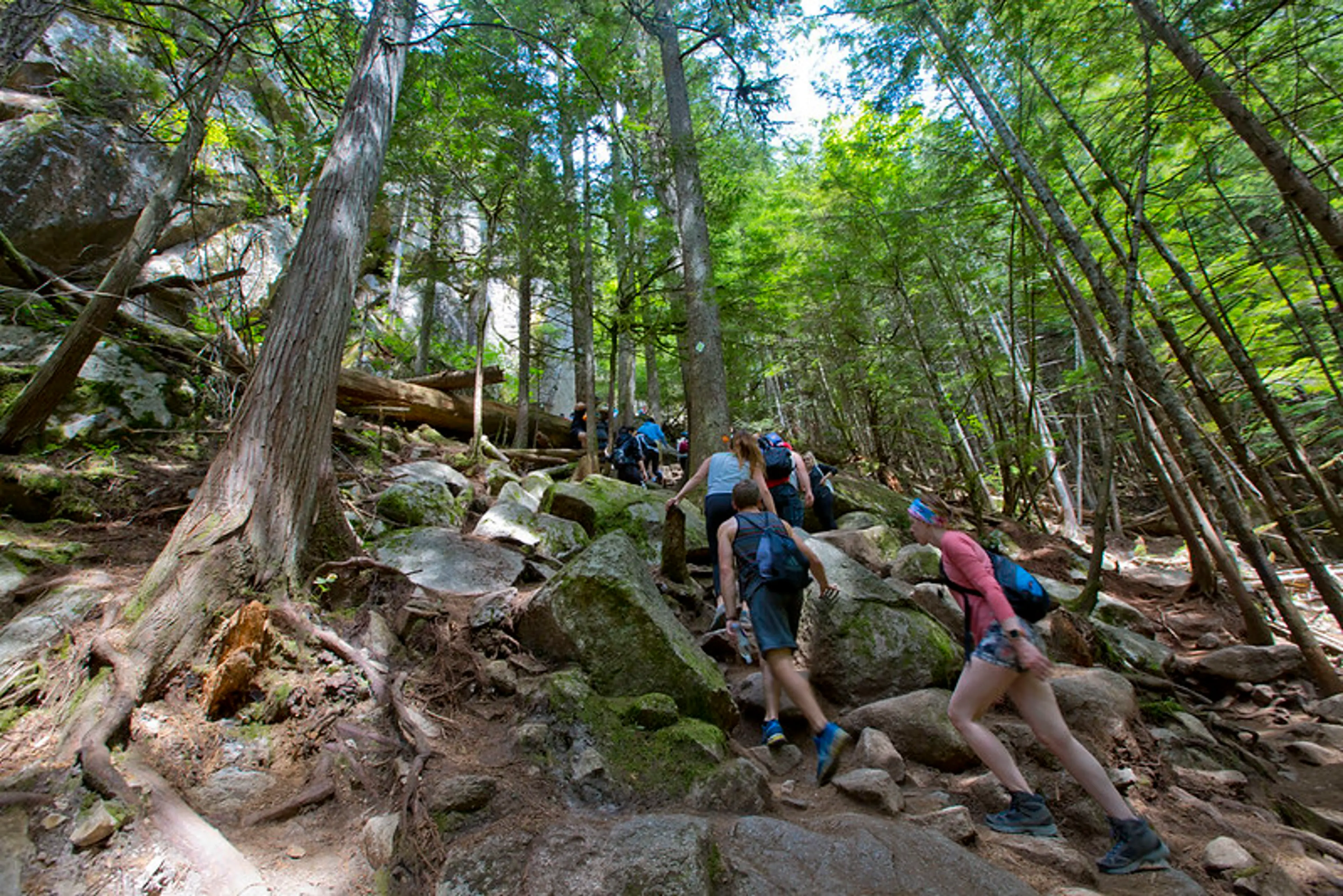 Steep trail to the Stawamus Chief
