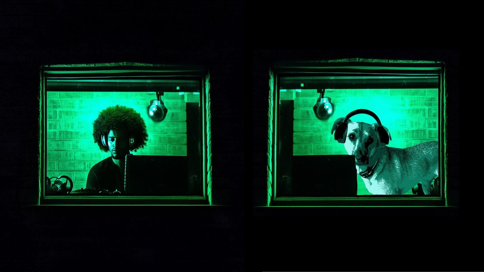 w-1920h-1080-f8ffc6-Sonder Image 4 - 1920 x 1080