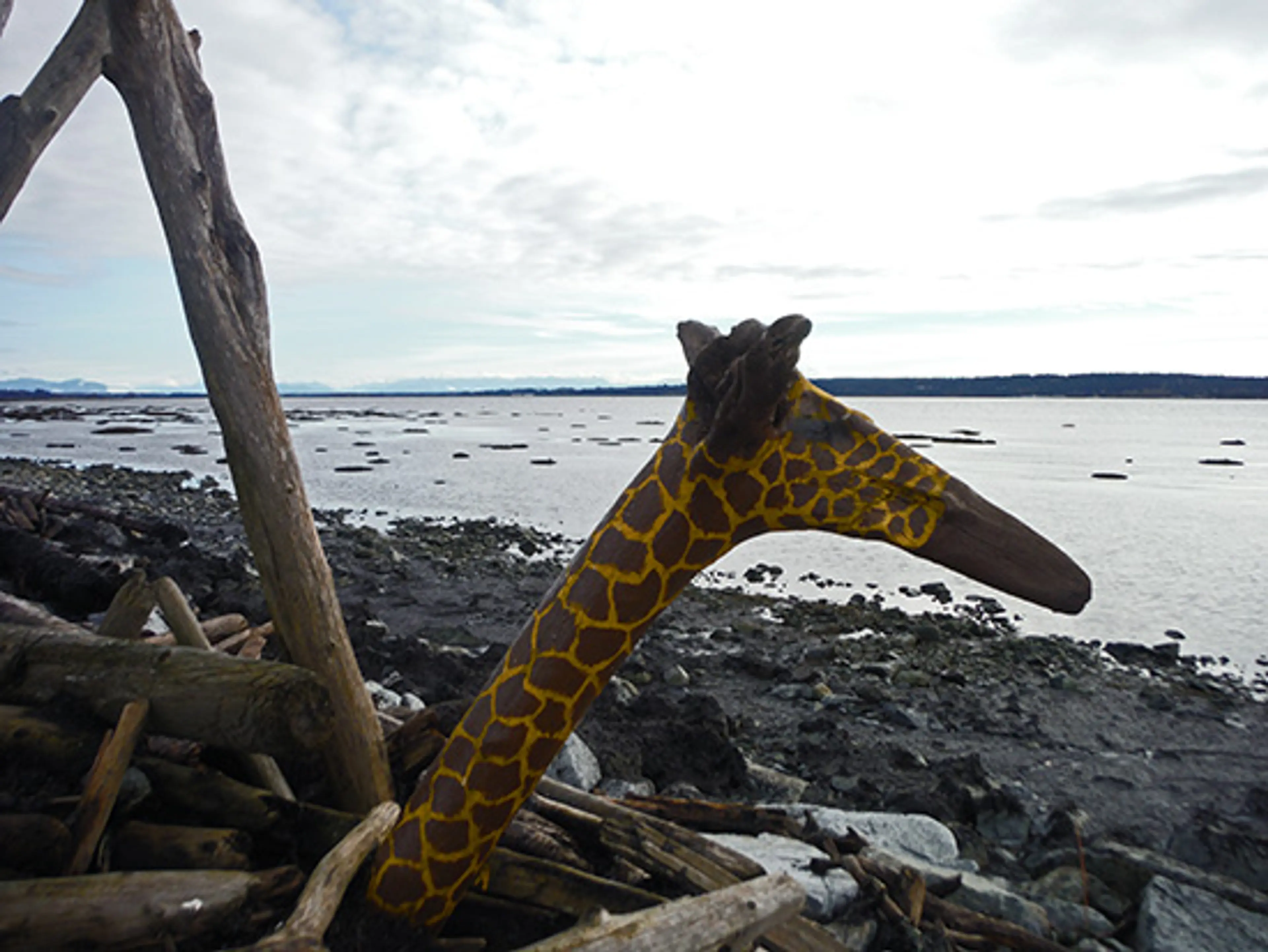 Discover-Outdoors-Mud-Bay-Park