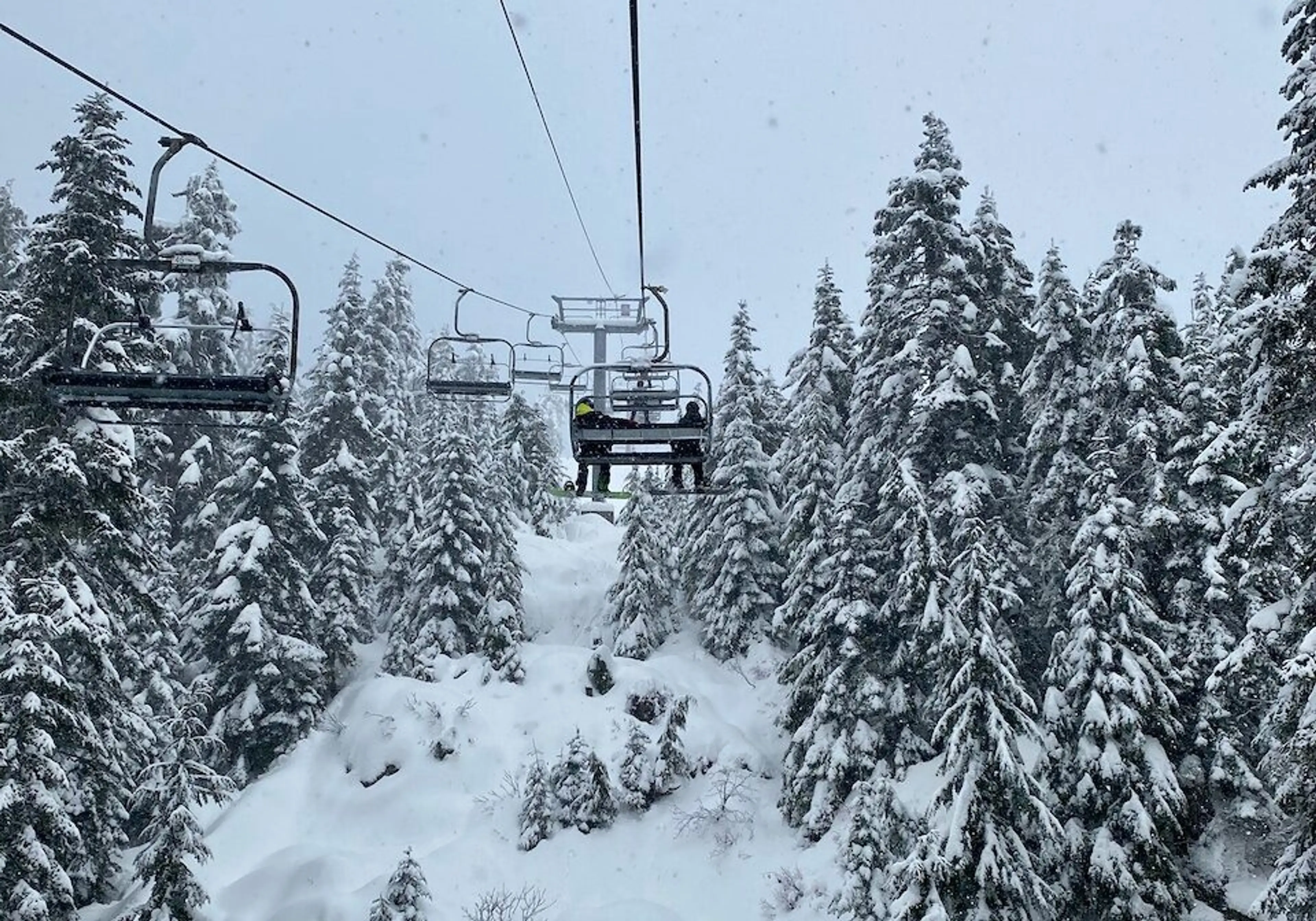 Grouse Mountain ski lift and snow-covered trees