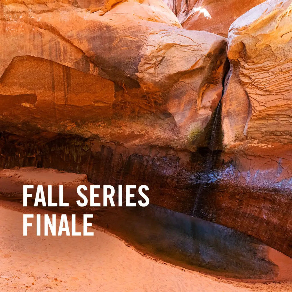 VIMFF Fall Series 2022 Finale promo posts
