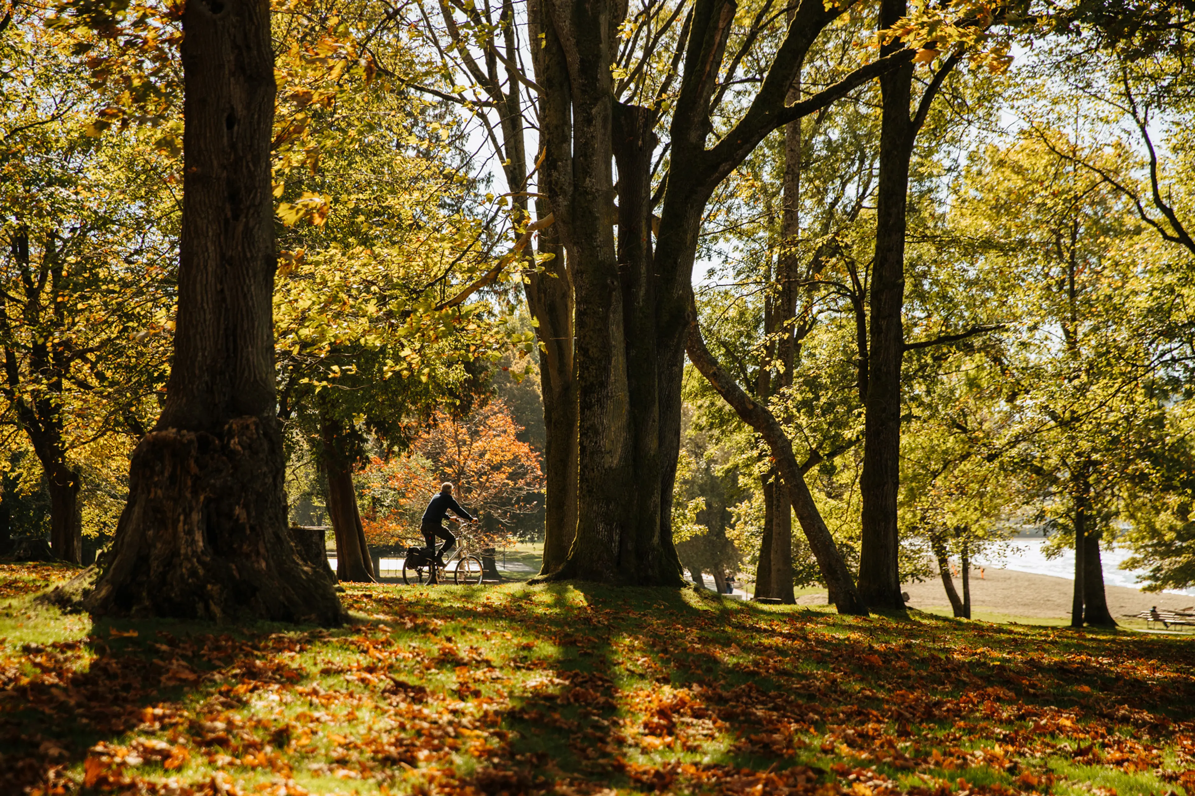 Best Vancouver Bike Rides to Enjoy the Fall Colours