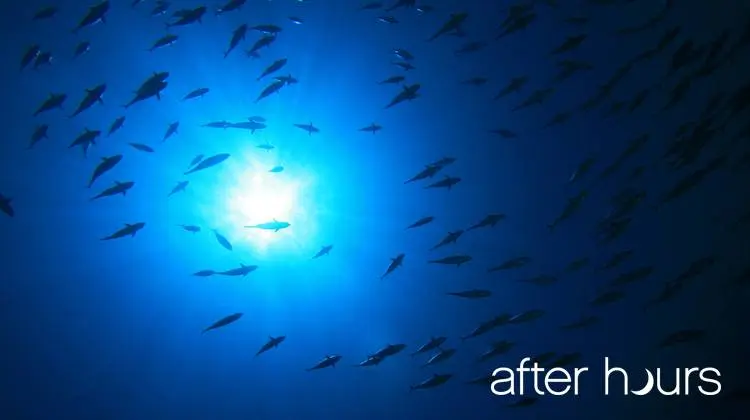 after hours vancouver aquarium