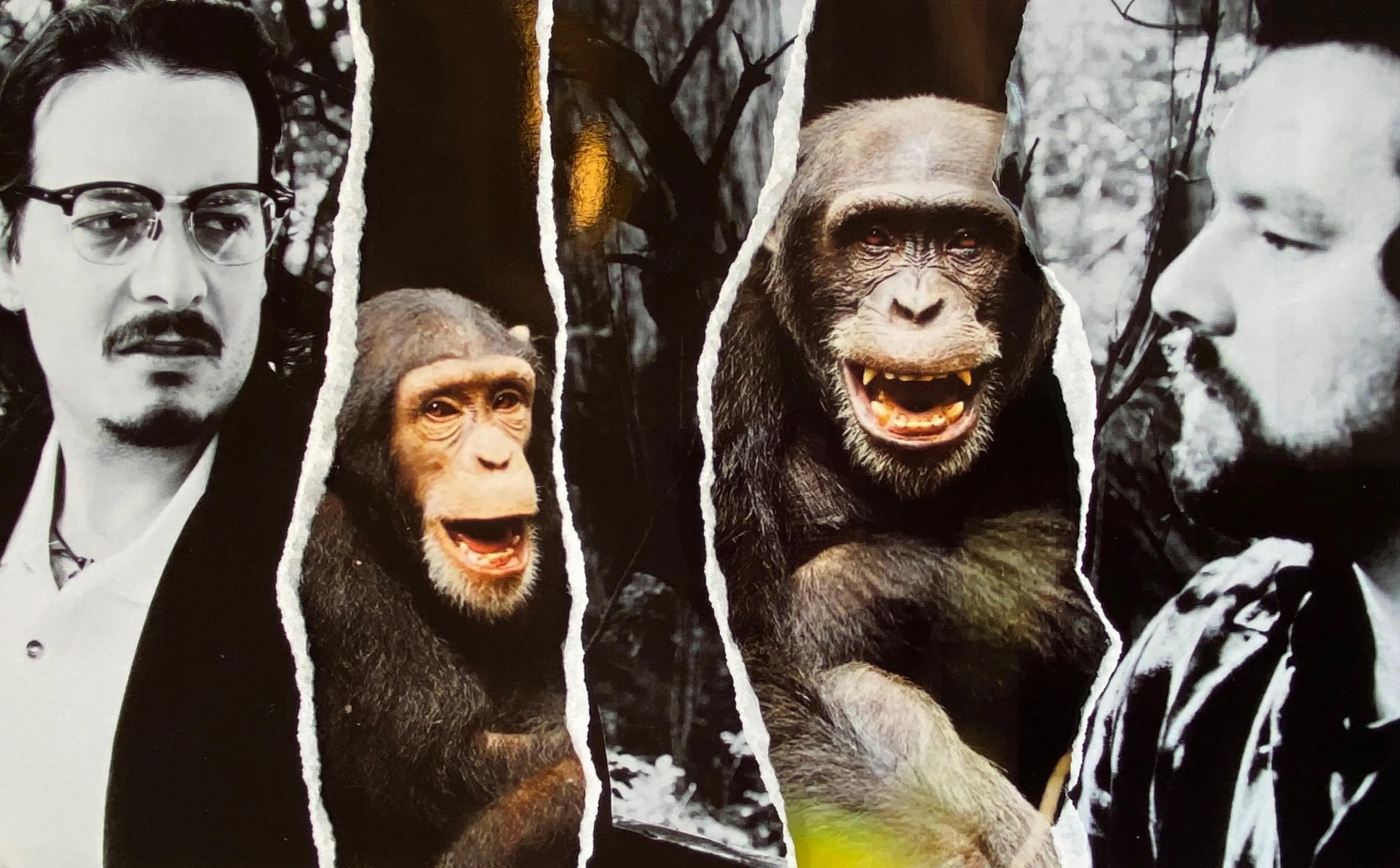 w-3660h-2271-c33cd8-IMG_8610