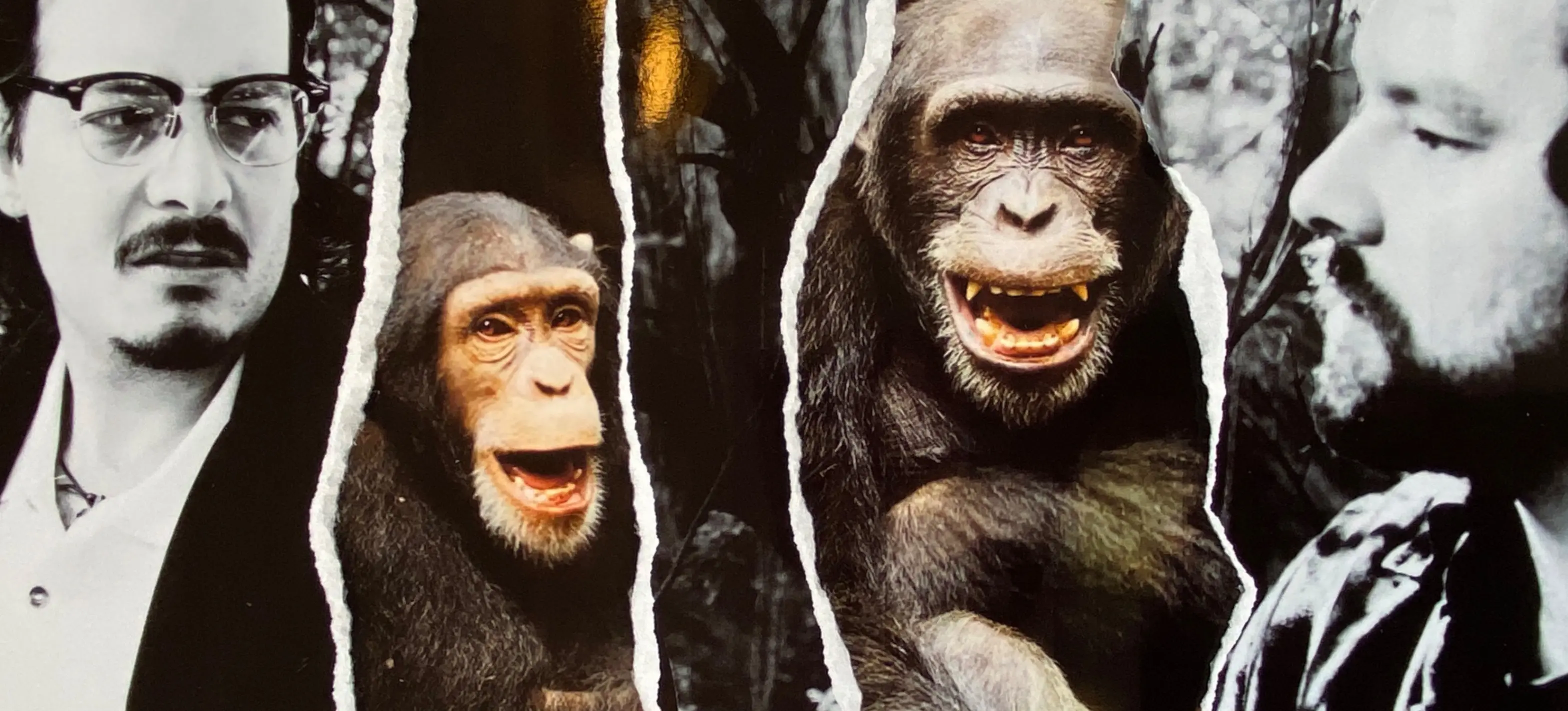 w-3660h-2271-c33cd8-IMG_8610