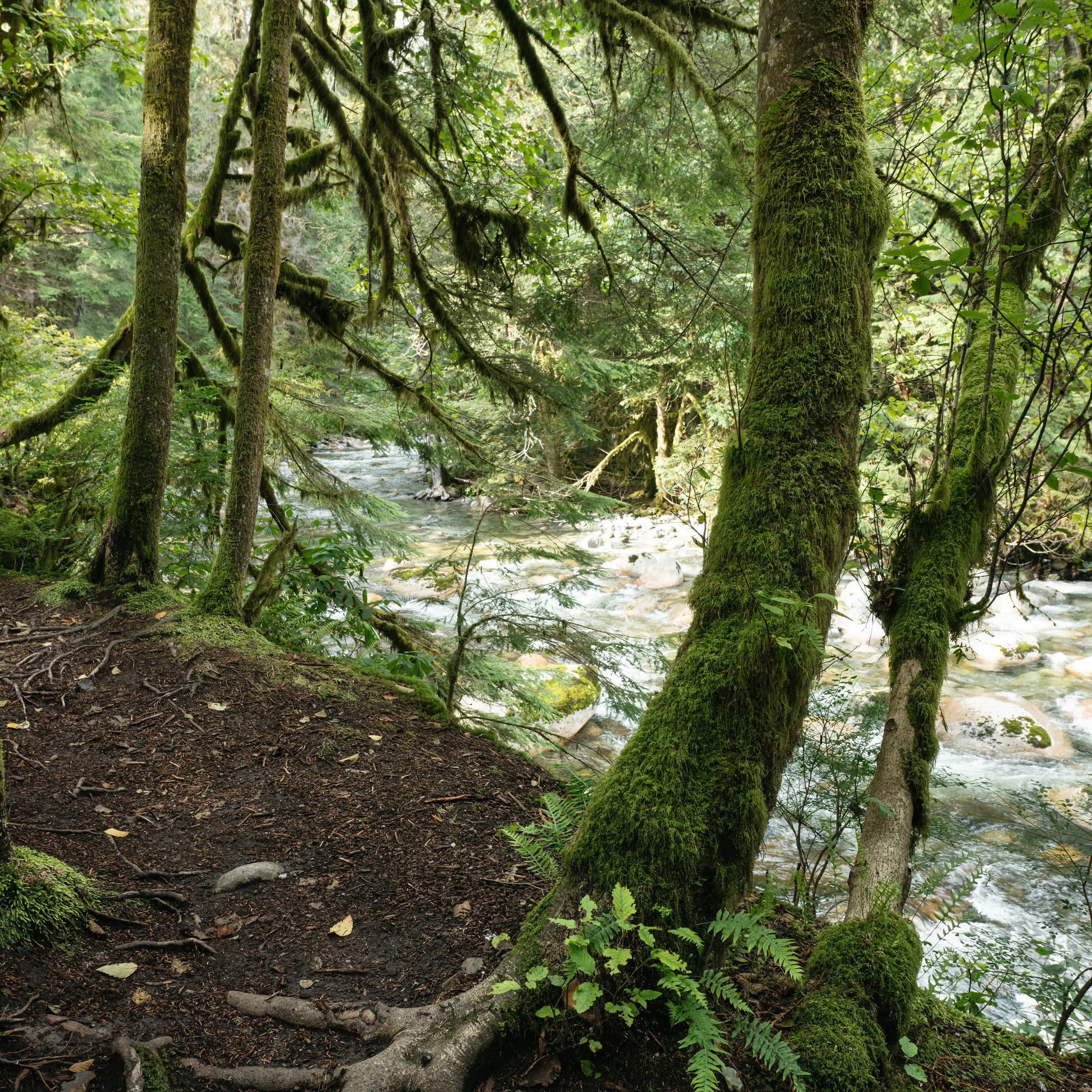 Varley Trail Loop